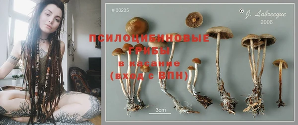 крисы Белокуриха
