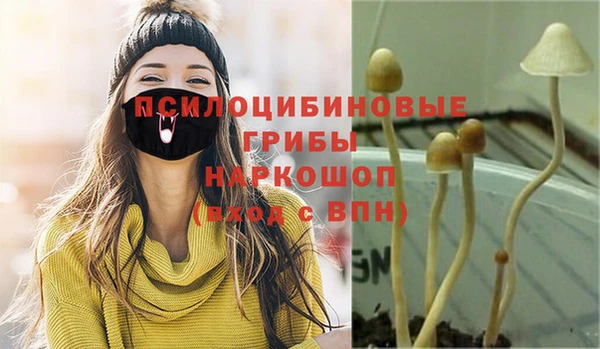 крисы Белокуриха