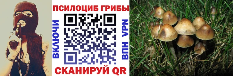 Галлюциногенные грибы ЛСД  МЕГА tor  Гороховец 